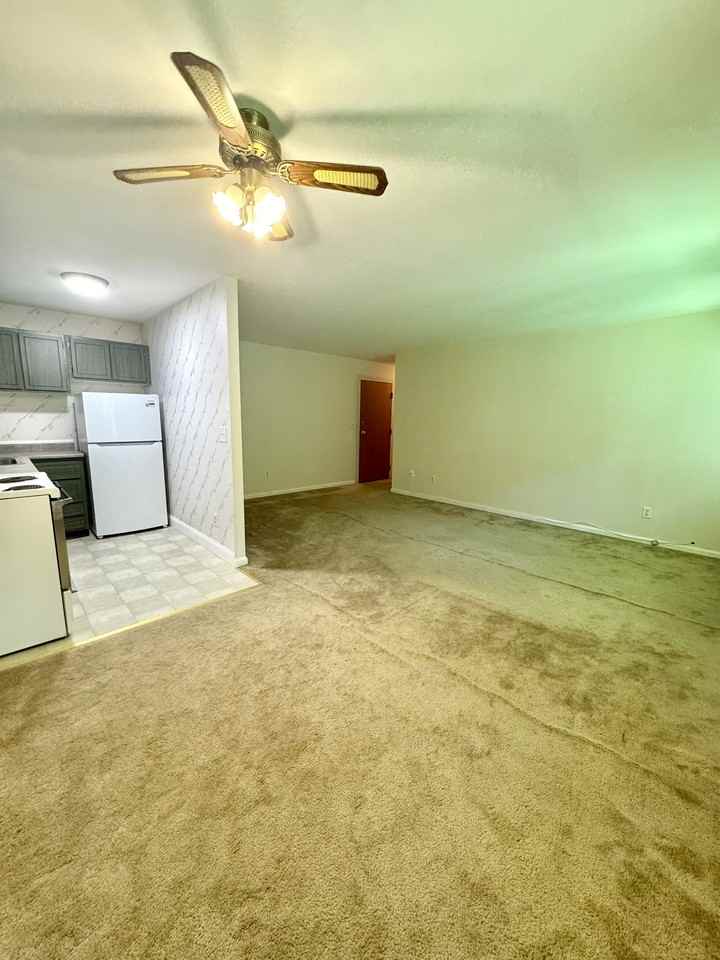 74 Barrett St #308 - Photo 4 of 13