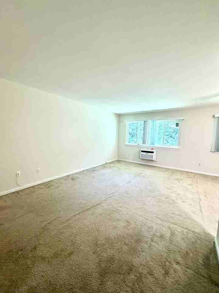 74 Barrett St #308 - Photo 5 of 13
