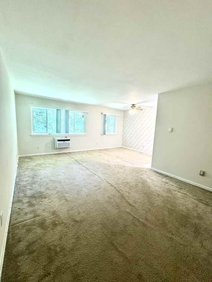74 Barrett St #308 - Photo 6 of 13