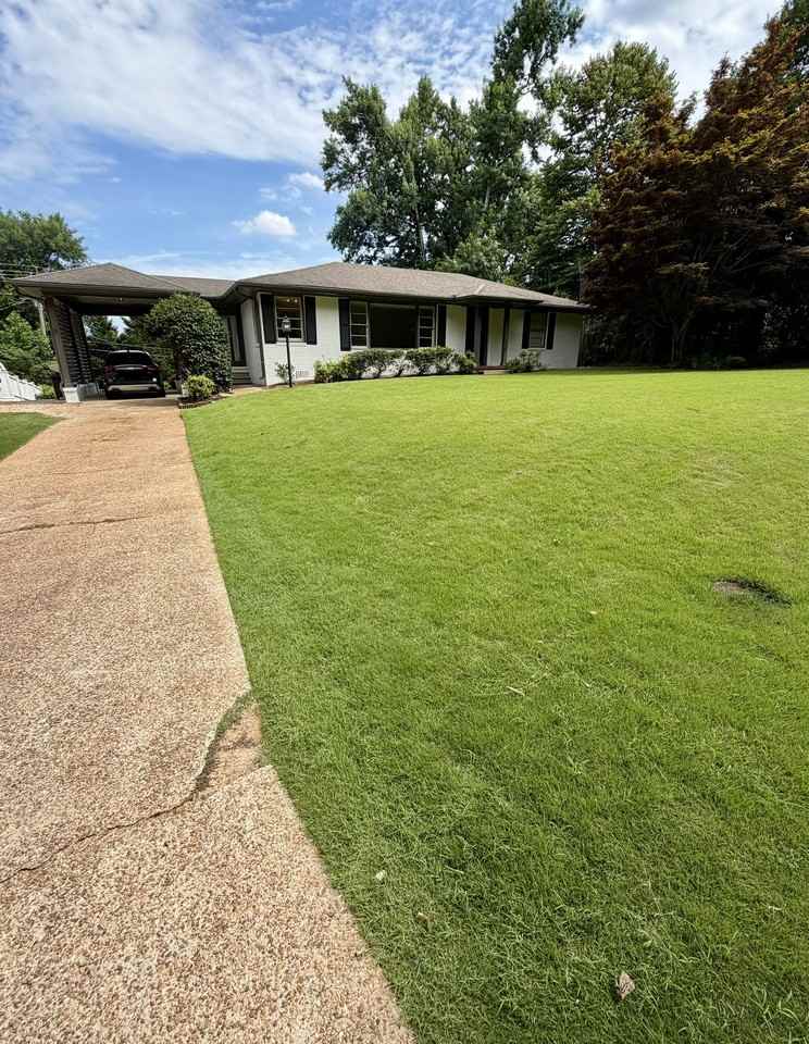 867 Shades Crest Rd #1 - Photo 2 of 28