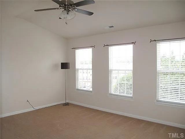 313 Coral Creek Ln - Photo 4 of 6