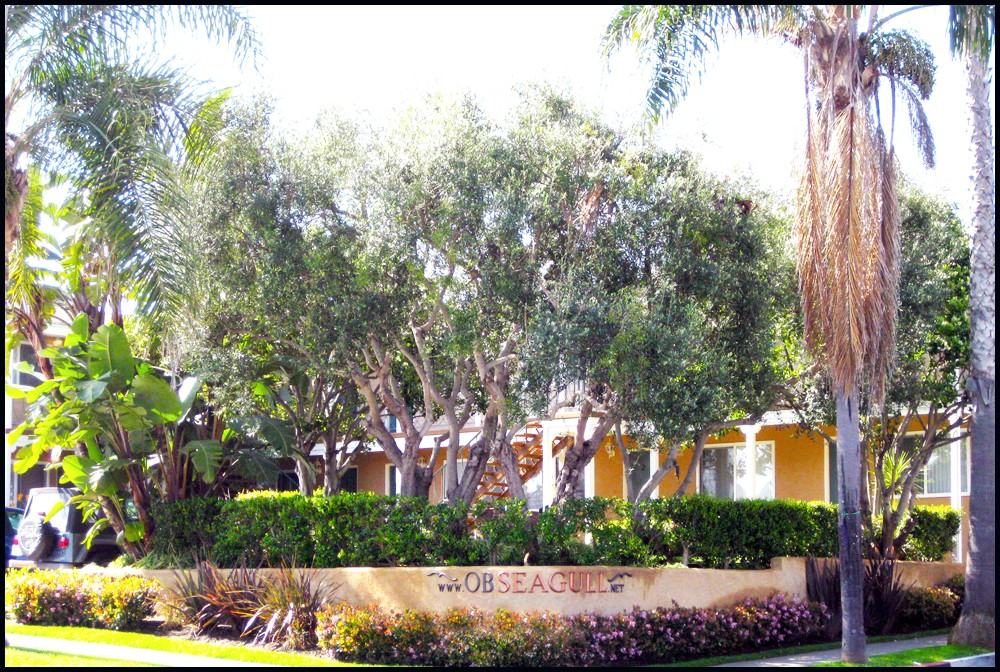 1739 Sunset Cliffs Boulevard #4 - Photo 4 of 23
