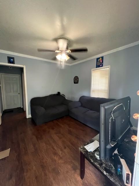 203 Maple St1 #1 - Photo 2 of 15