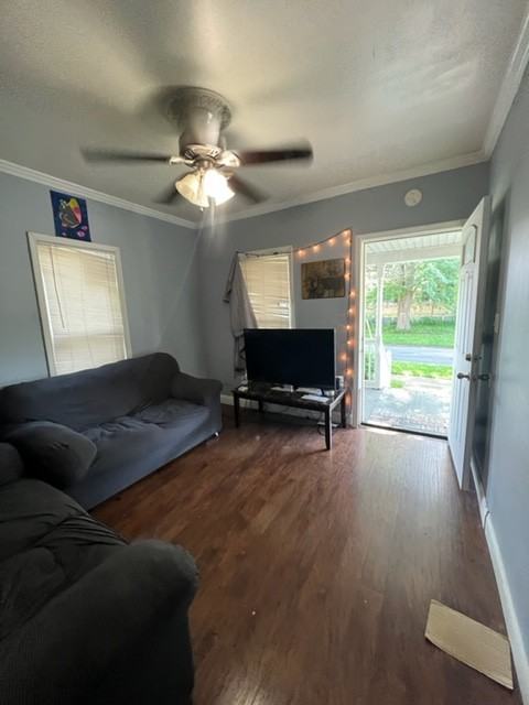 203 Maple St1 #1 - Photo 3 of 15