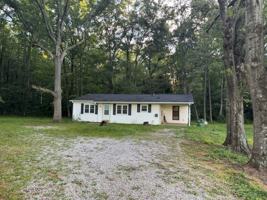 featured image of 1029 County Road 121 #1