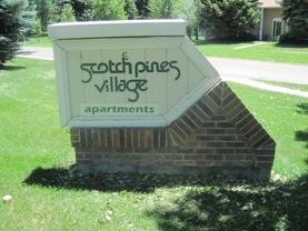 Scotch Pines - Photo 1 of 1