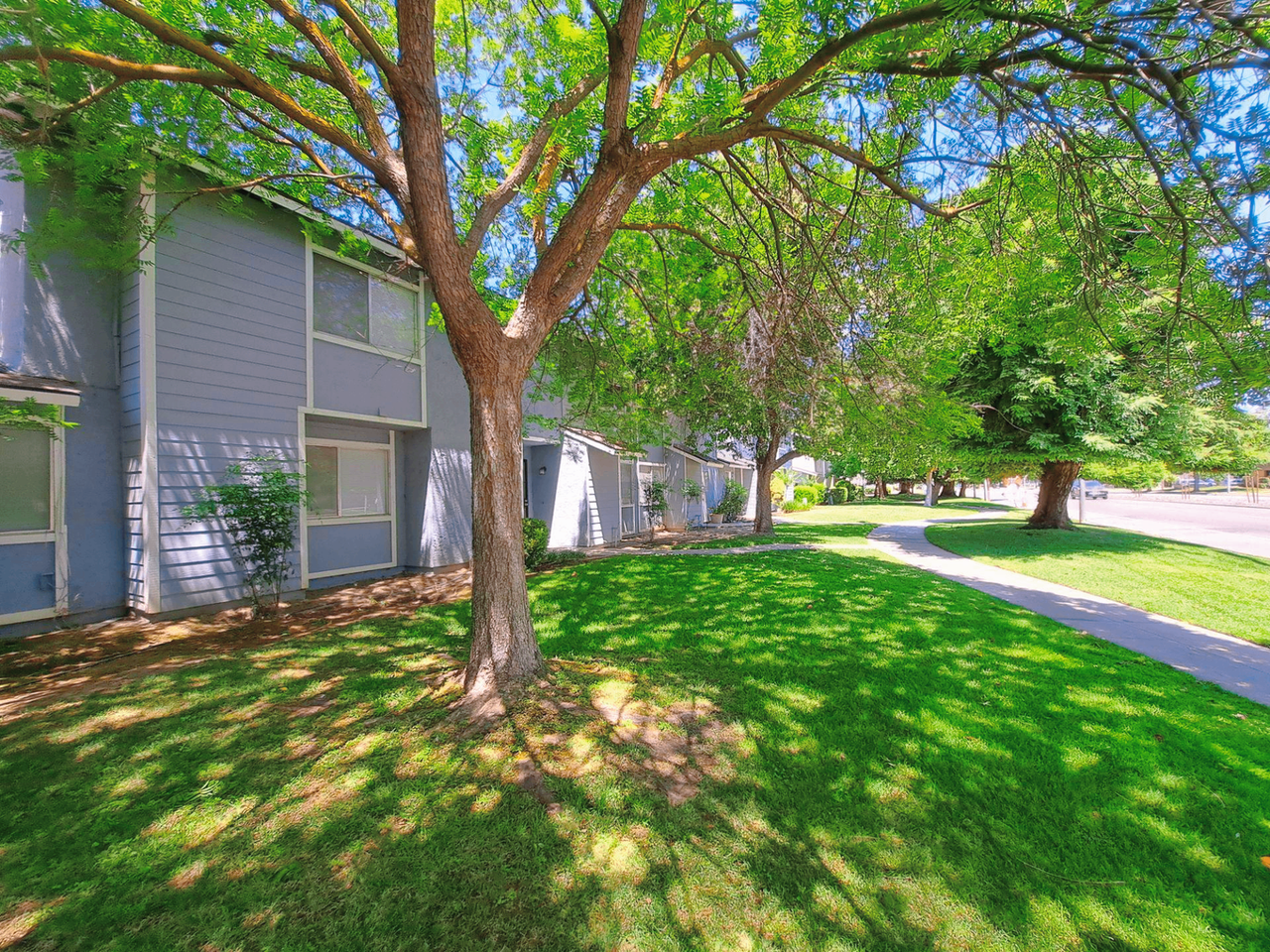 4779 N Cedar Ave #101 - Photo 7 of 12