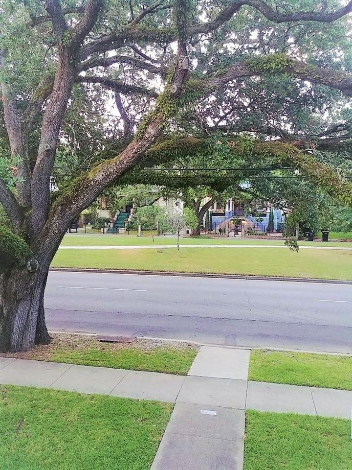 3112 Napoleon Ave - Photo 5 of 20