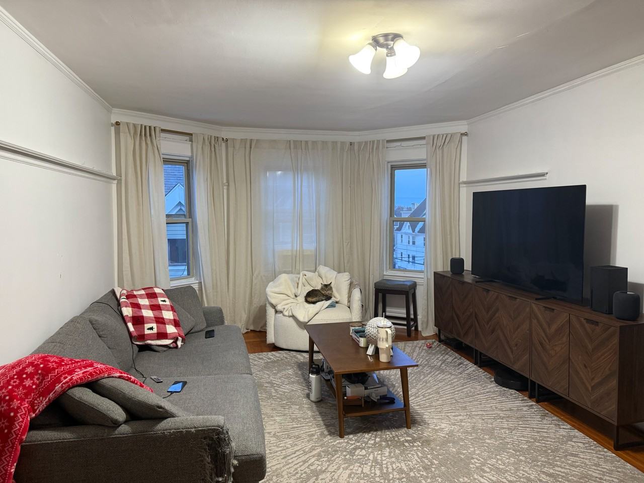 15 Hoyle St #3 - Photo 6 of 6
