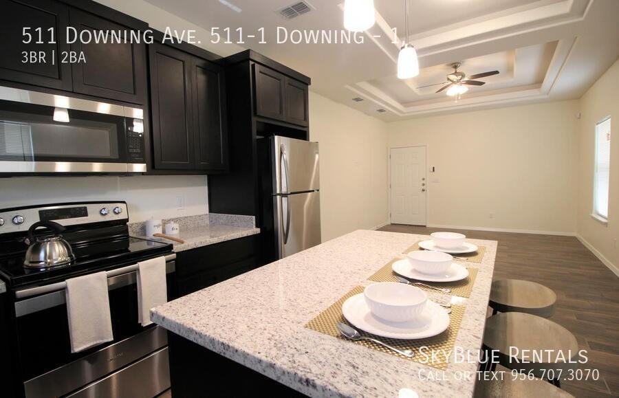 511 Downing Ave #1 - Photo 4 of 12