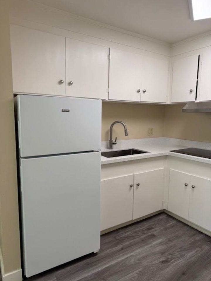439 Del Medio Ave - Photo 2 of 7
