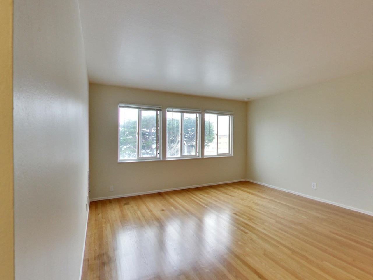 7630 Geary Blvd #204 - Photo 2 of 26