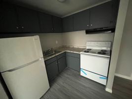 featured image of 173 Ashley St #309