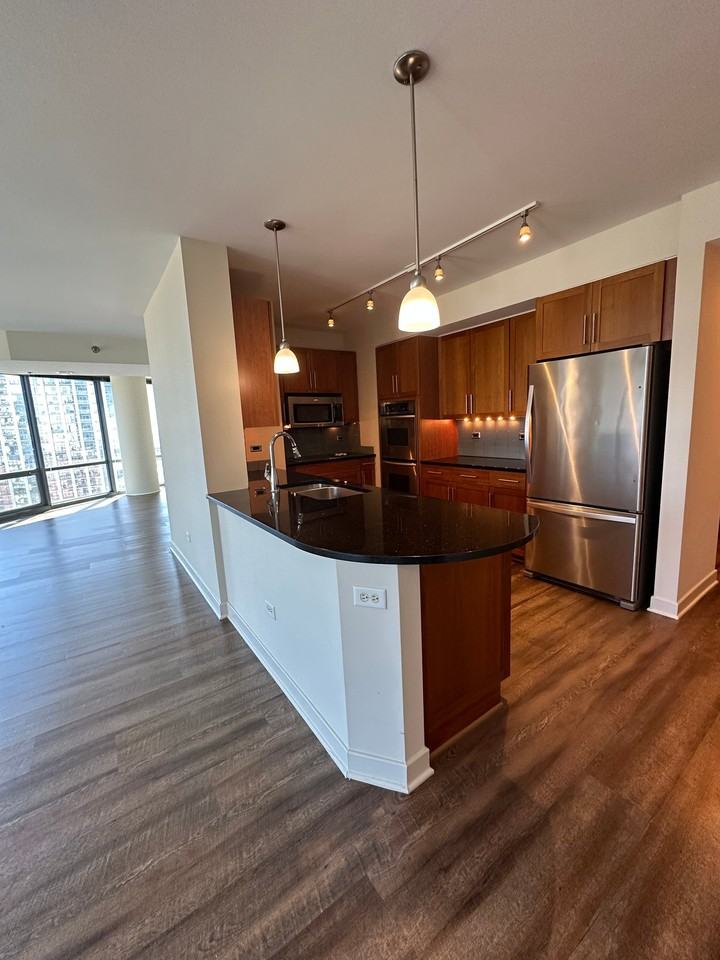 1257 S Michigan Ave - Photo 5 of 24