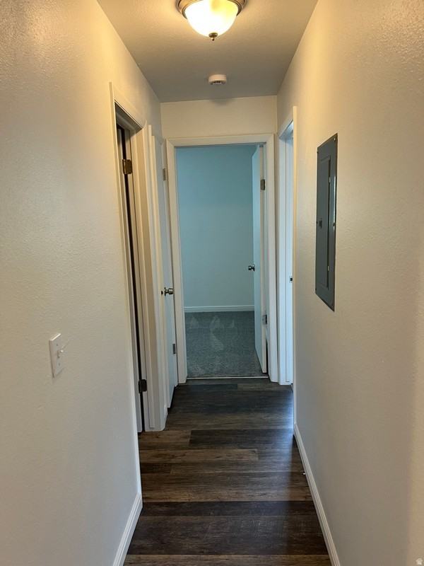 394 E St #4 - Photo 5 of 17