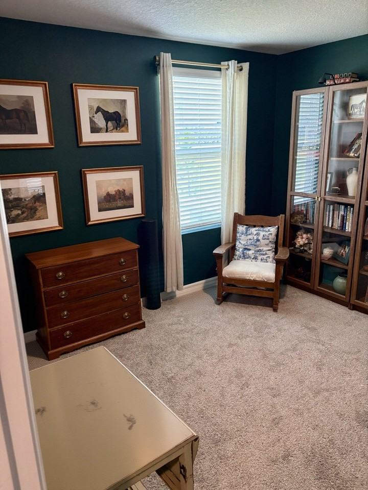 6118 Distant Haze Pl - Photo 4 of 20