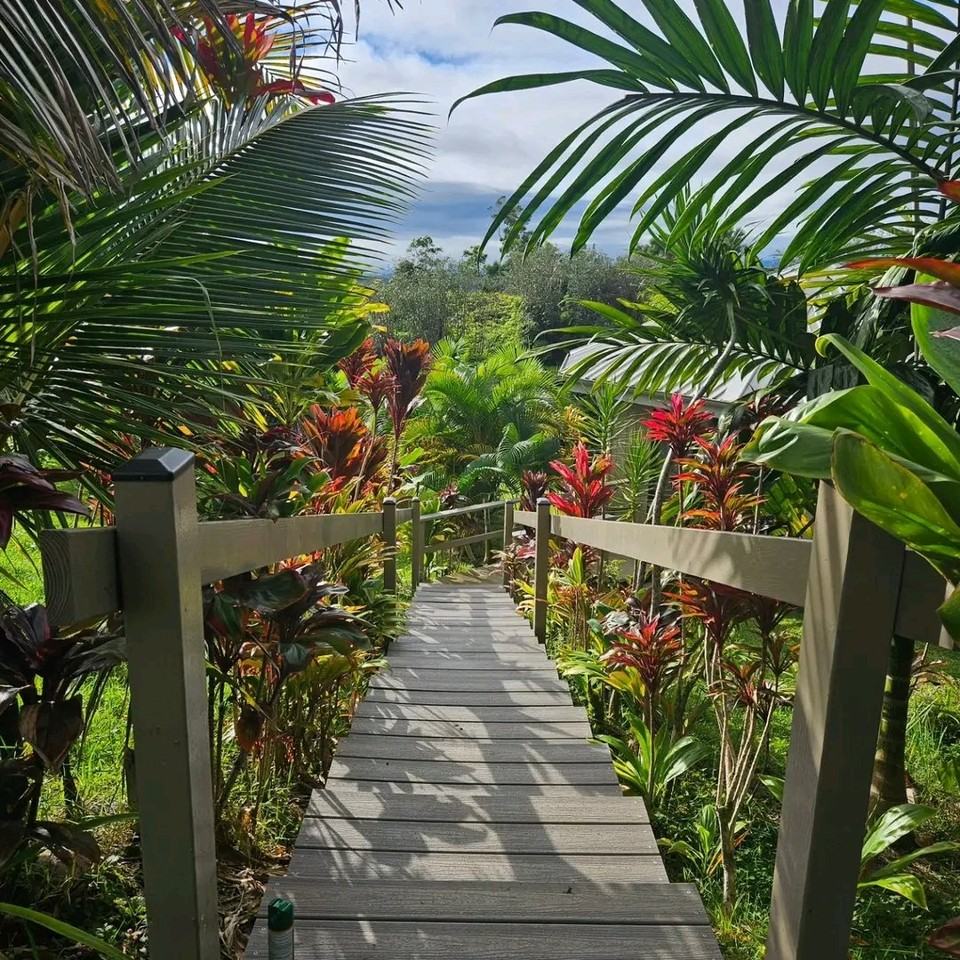 2979 Kaiwiki Rd - Photo 2 of 11