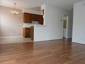 2055 Rodney Dr #307 - Photo 1 of 1