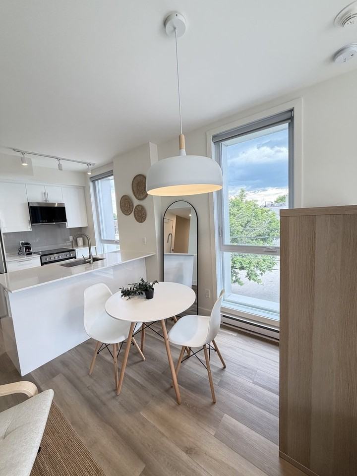 3981 Rue Saint-Dominique - Photo 7 of 15
