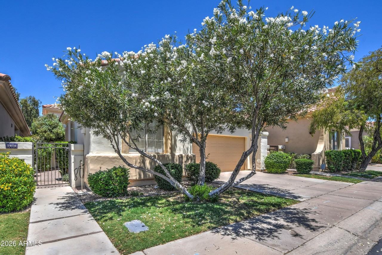 7910 E Cholla St - Photo 4 of 50