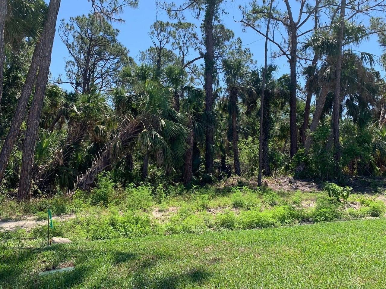 1980 Sunset Preserve Way - Photo 6 of 18