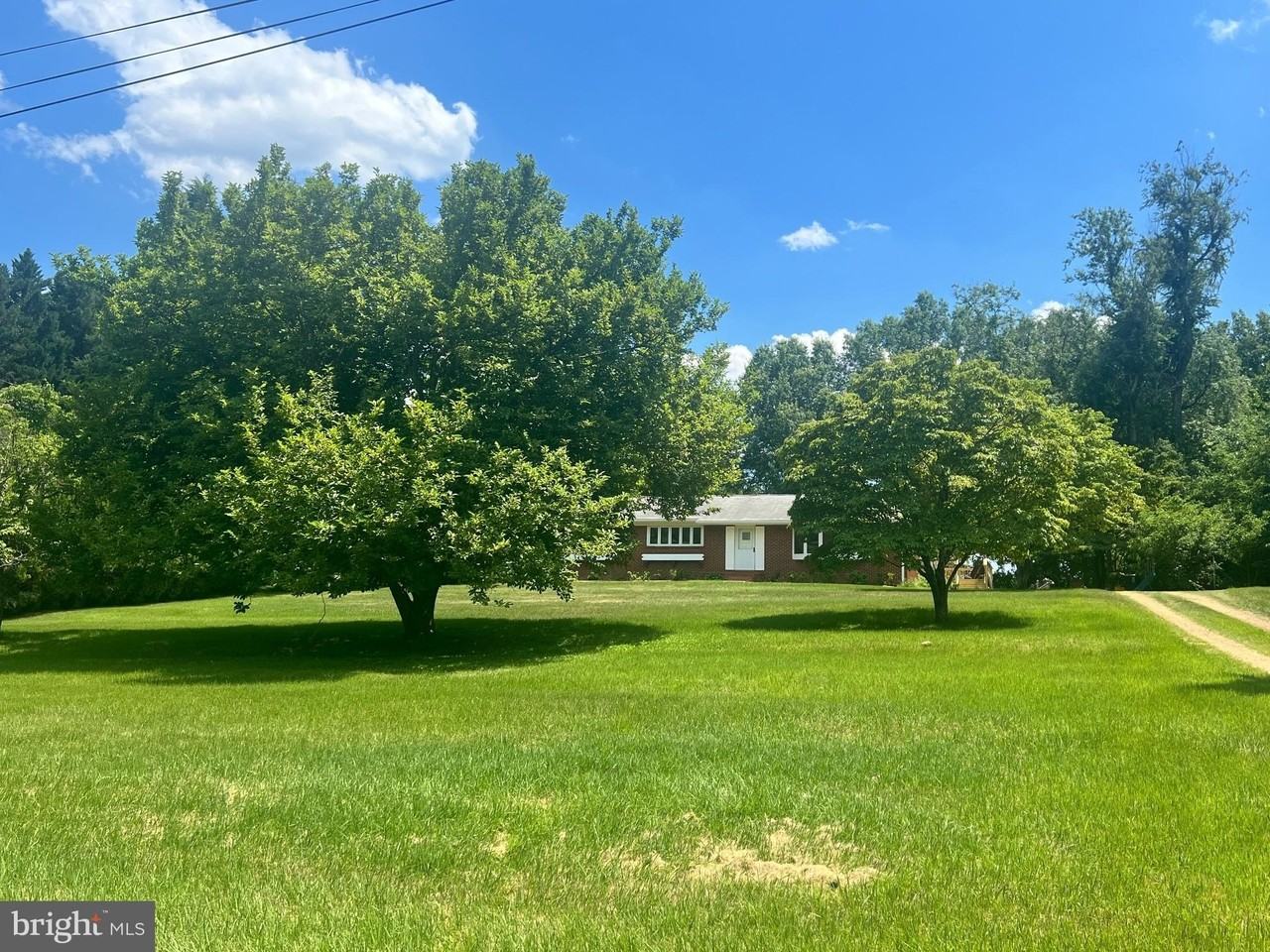 12405 Shafer Ln - Photo 2 of 50