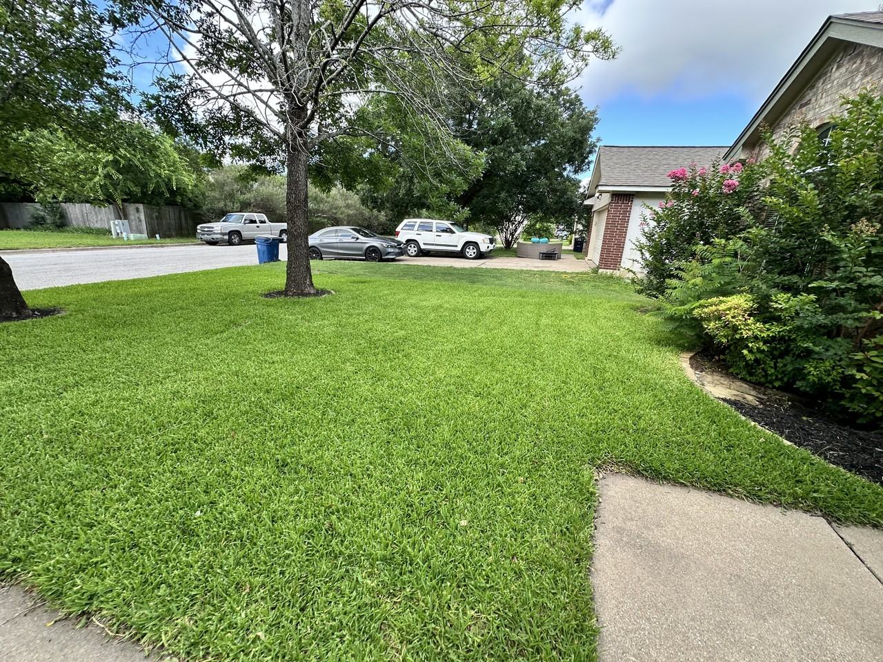 1217 Nightshade Ln - Photo 4 of 5