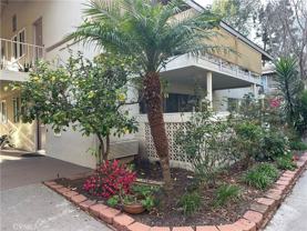163 Avenida Majorca #B - Photo 1 of 1