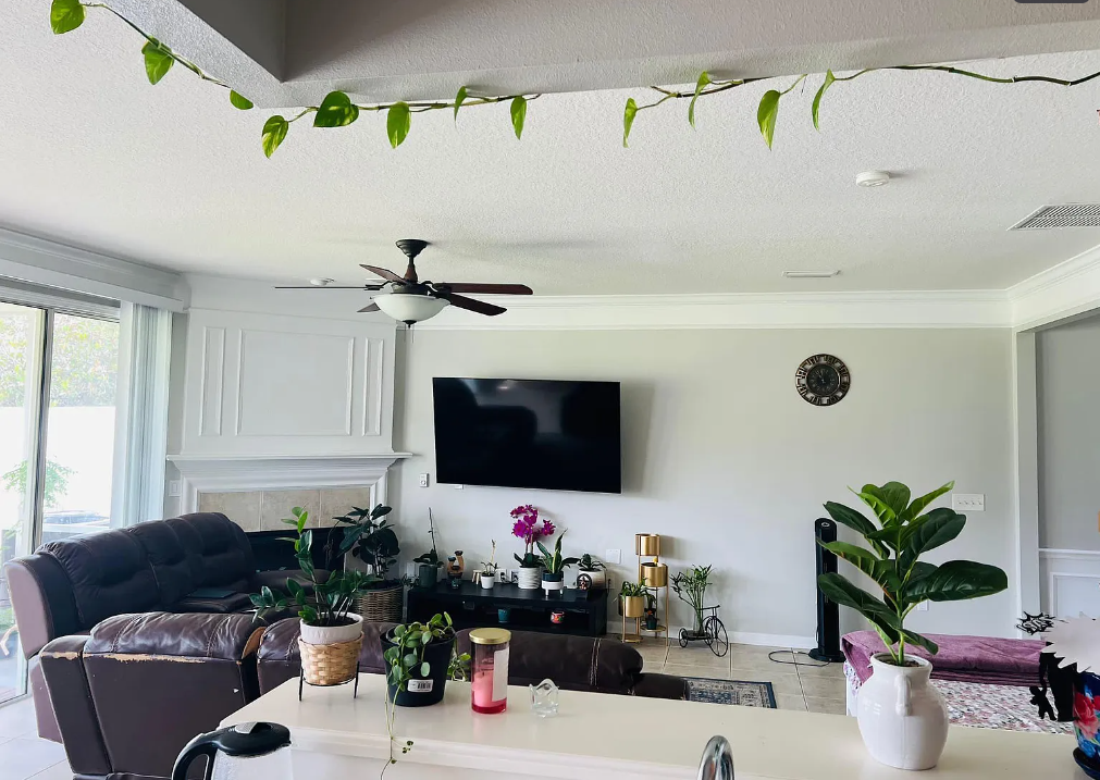 11118 Fallgate Point Ct #1 - Photo 2 of 12