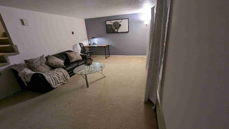 334 Townhouse Dr - Photo 4 of 9