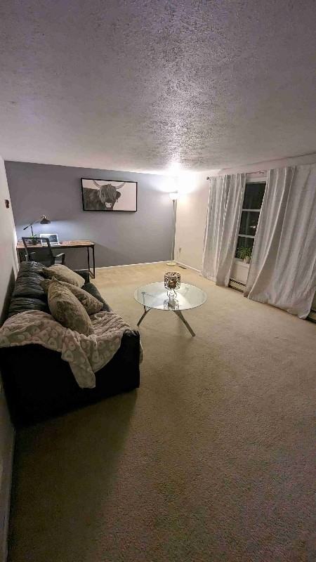 334 Townhouse Dr - Photo 5 of 9