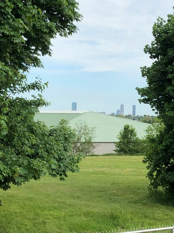 34 Hume Ave #3 - Photo 4 of 11