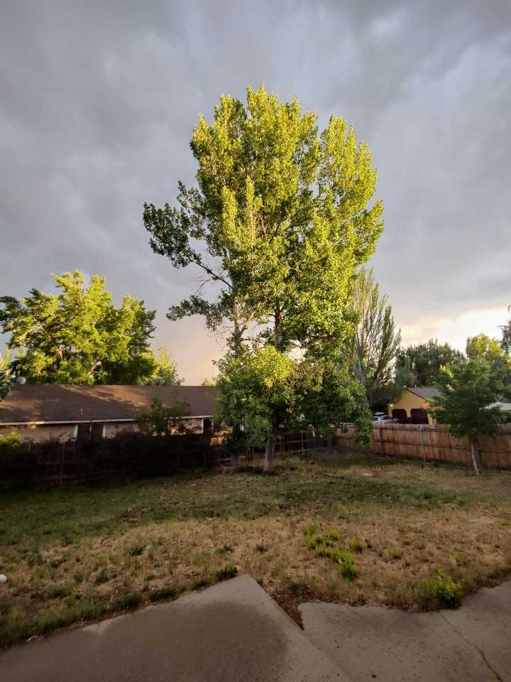 3801 E Mallard Ln - Photo 2 of 6