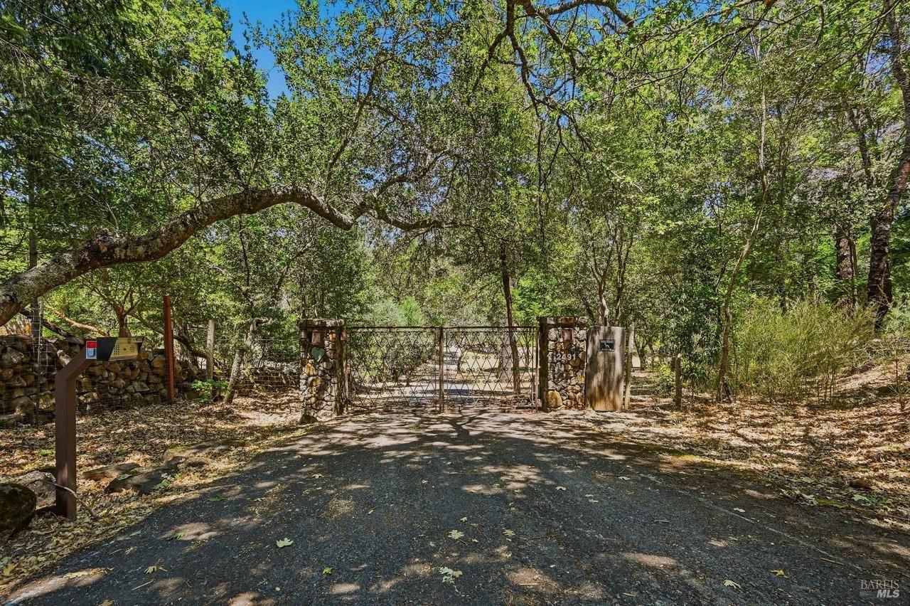 2491 Spring Mountain Rd - Photo 2 of 50