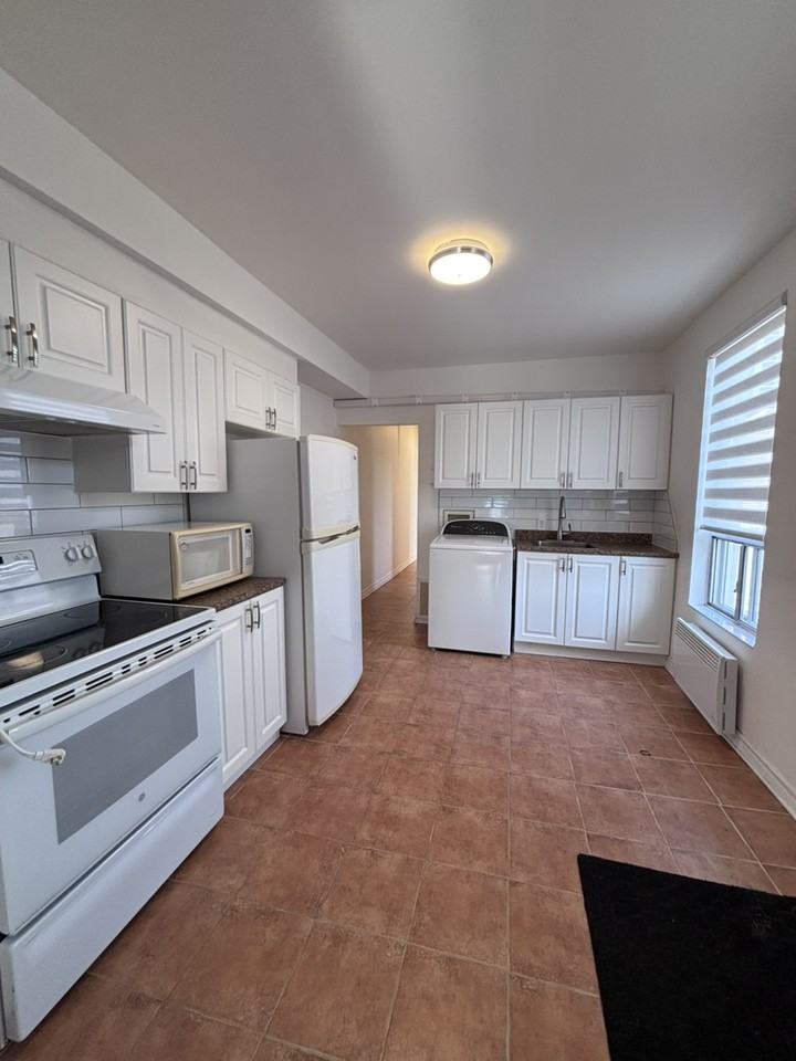 7062 Rue Saint-Denis - Photo 6 of 12