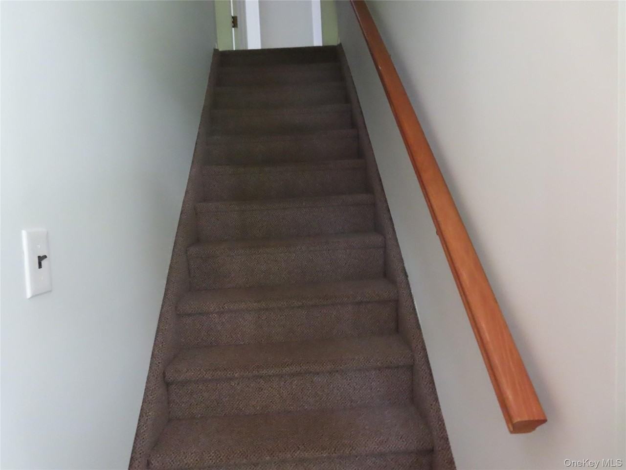 120 Cerny Pl - Photo 2 of 12