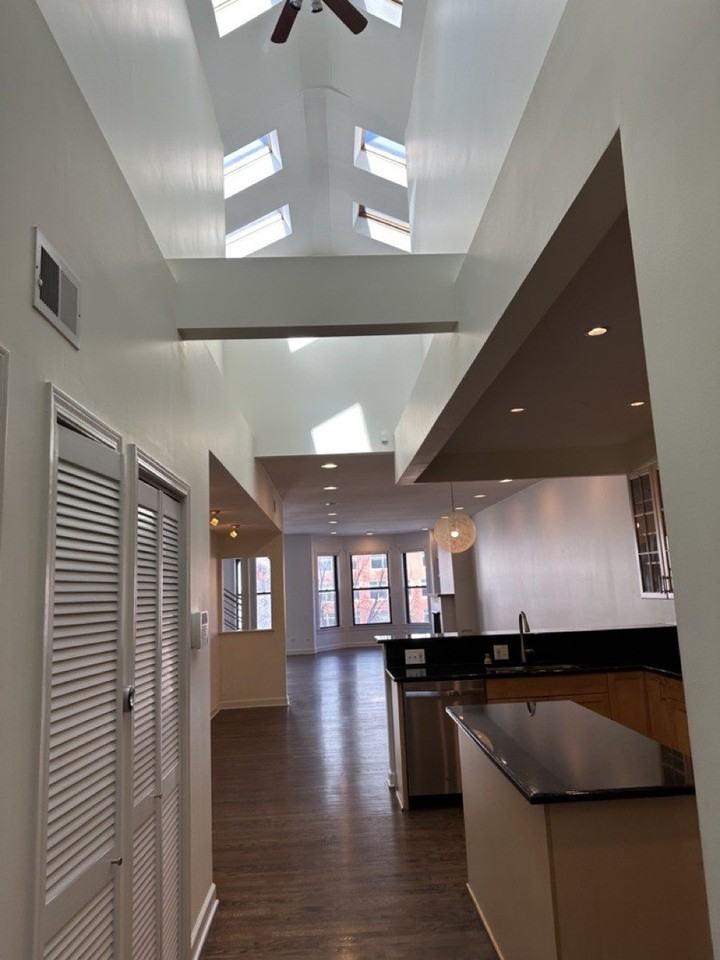 353 W Chicago Ave #4E - Photo 2 of 20