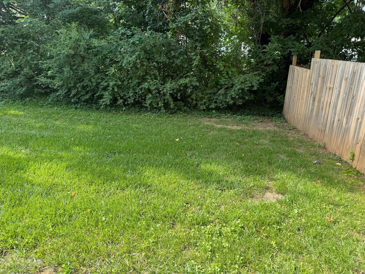 703 East Mount Vernon Street - EWoodland CourtWoodland Court #E - Photo 6 of 10