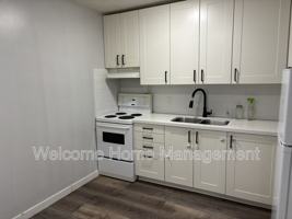 featured image of 41 Carleton St S #3