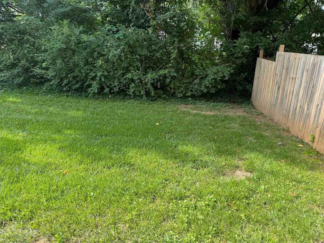 703 East Mount Vernon Street - Photo 6 of 10