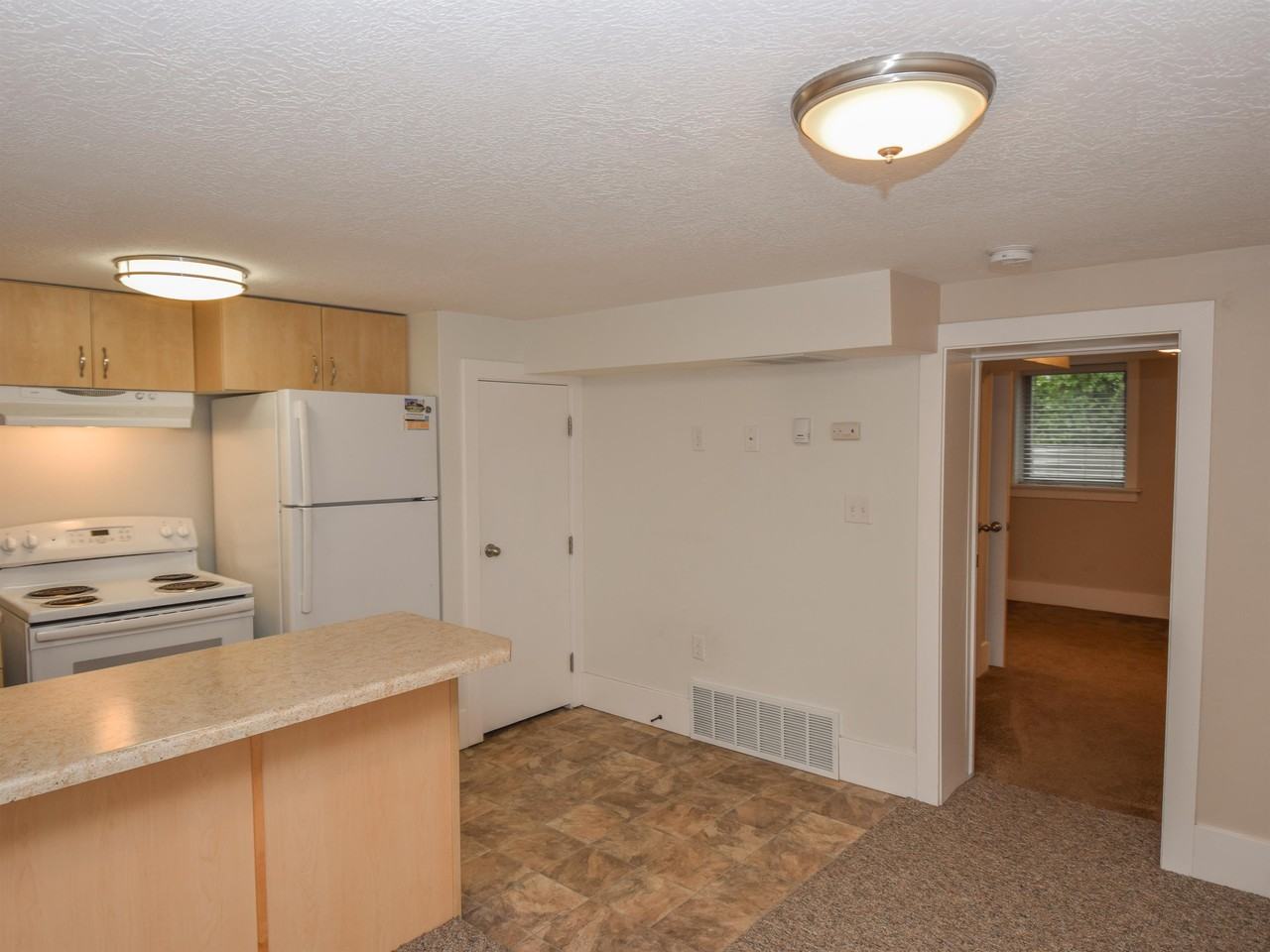 271 North 100 East - East Basement #3 - Photo 4 of 13