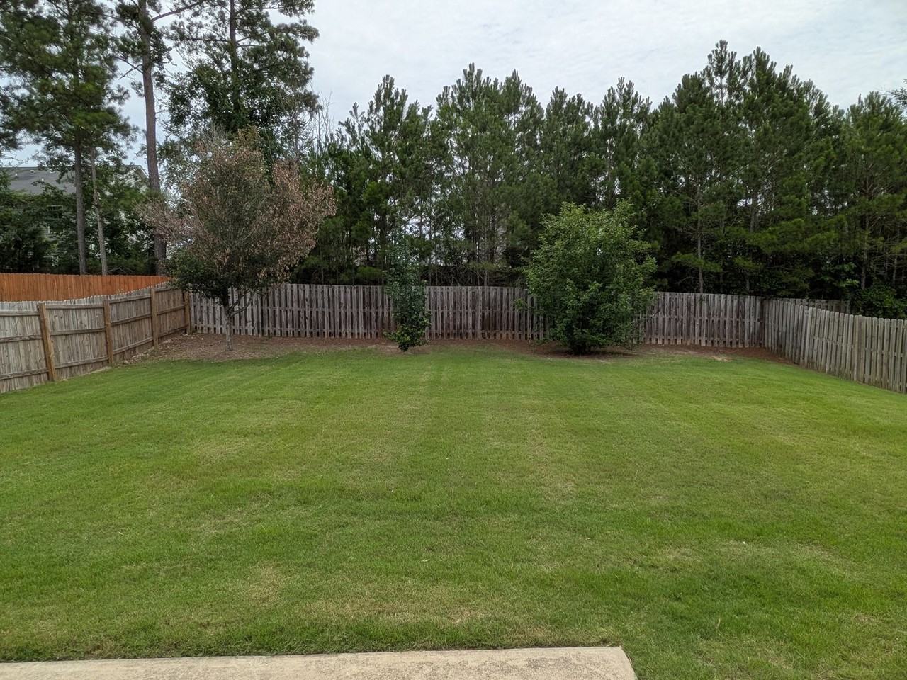 2645 Waites Dr - Photo 3 of 34