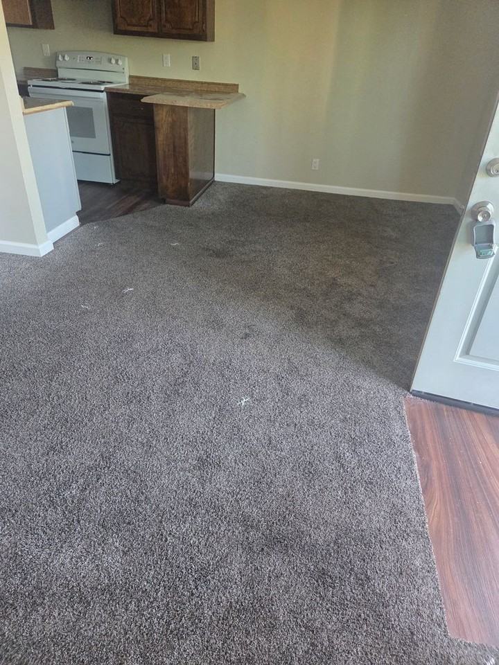 1101 Brandon Ct - Photo 7 of 19