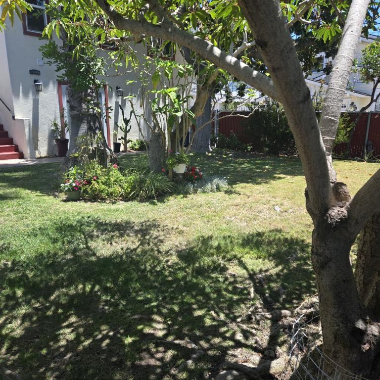 411 2nd St - Photo 5 of 37