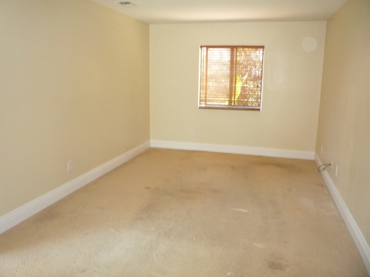 1174 Hitching Post Ln - Photo 5 of 20