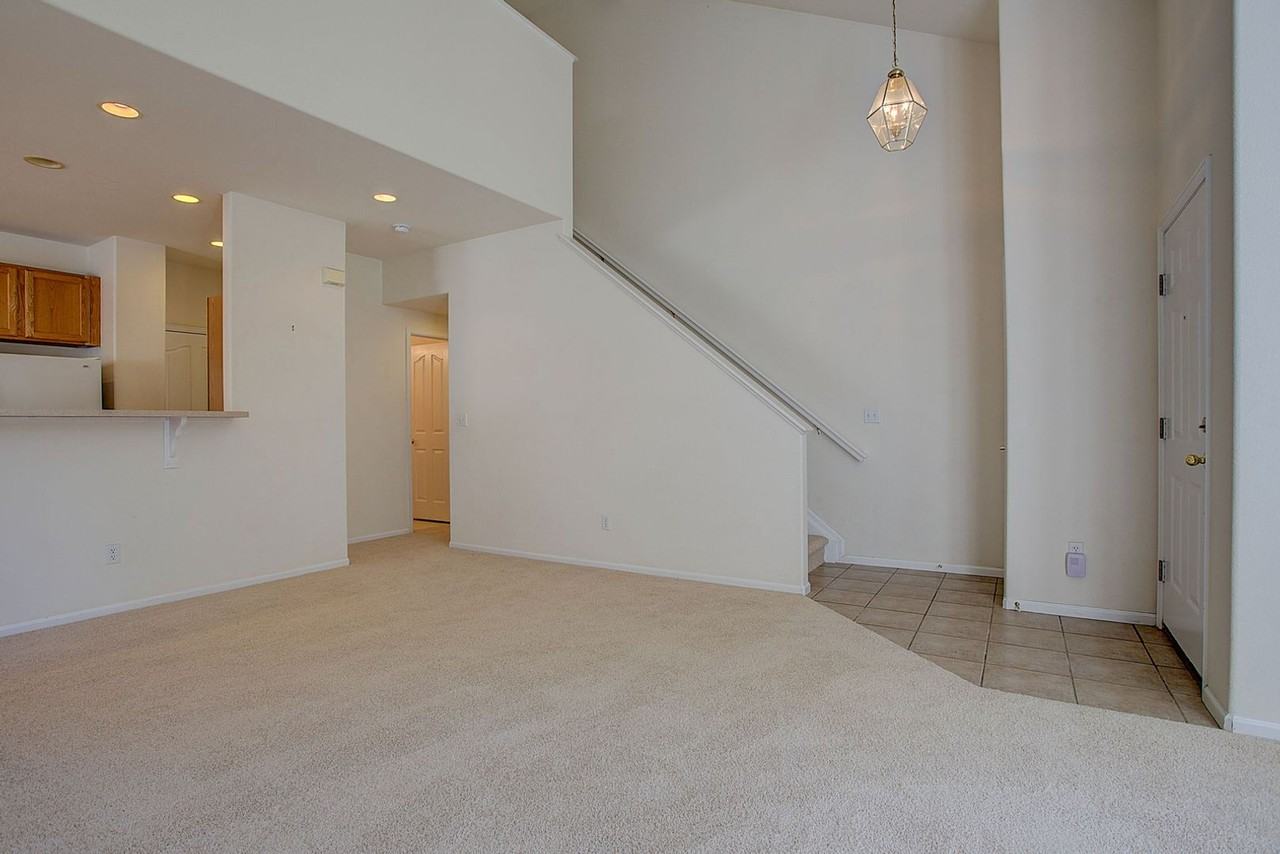 2770 Whitetail Cir - Photo 5 of 26