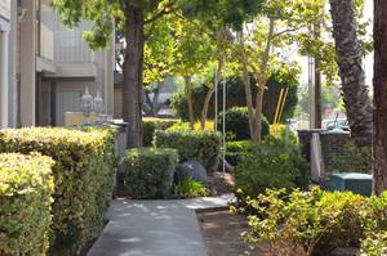 Lakeshore Terrace - Photo 5 of 8