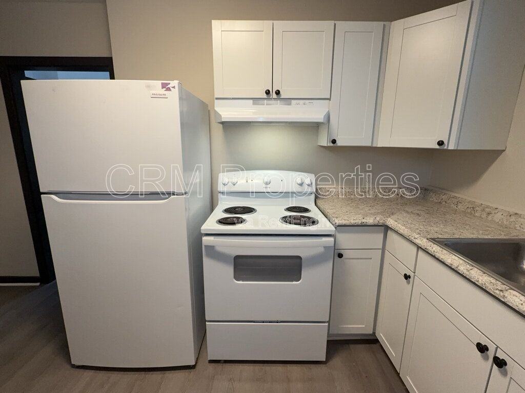 112 N Green St - Photo 6 of 16