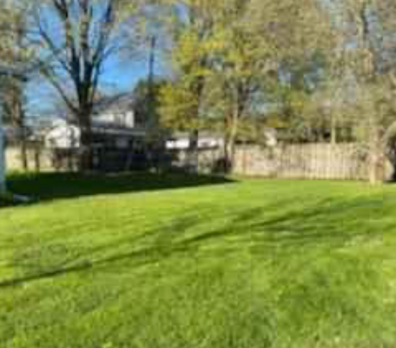 27 Elm St #25 - Photo 3 of 16