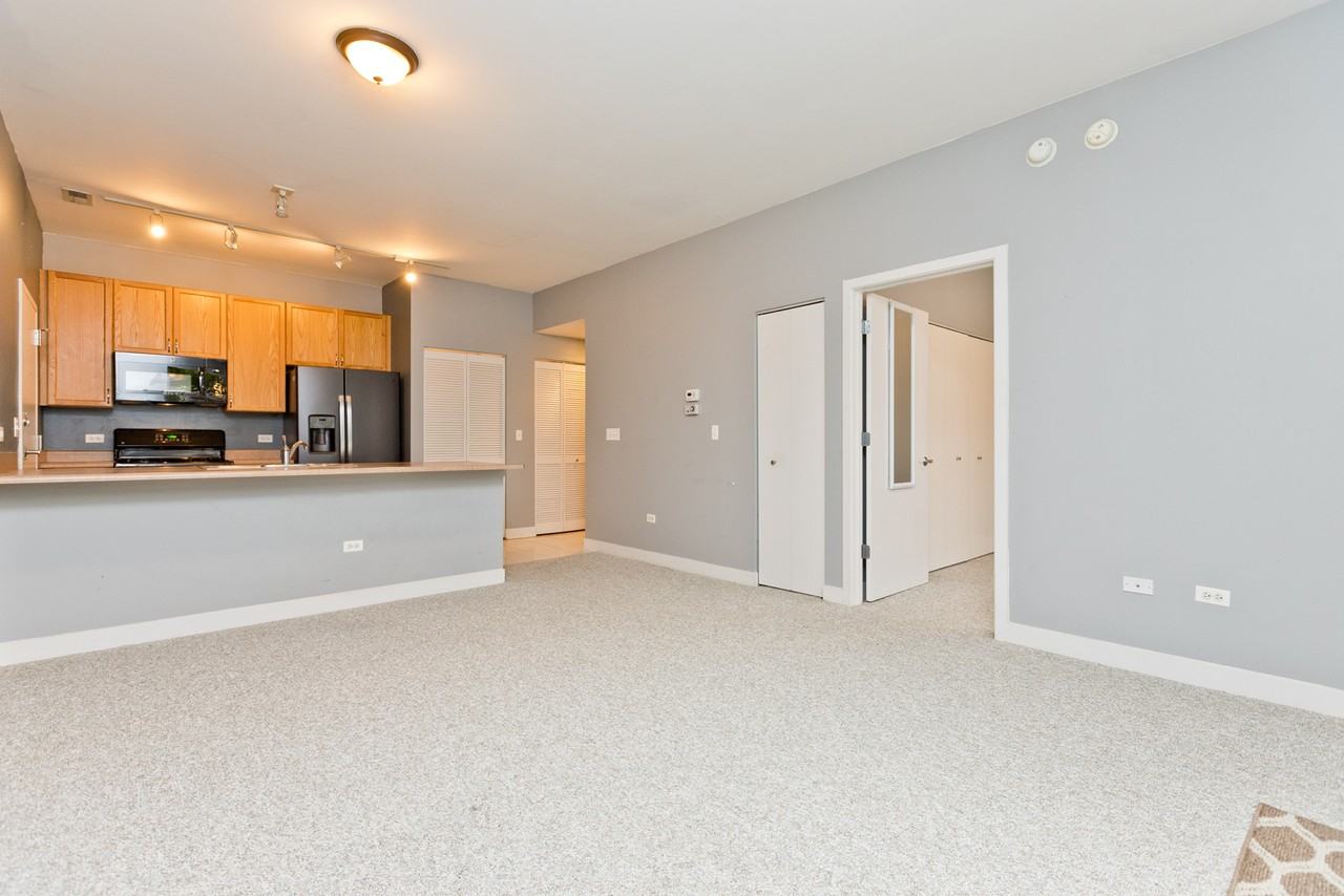 1515 S Halsted St #214 - Photo 2 of 8